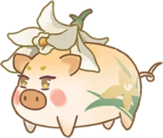 หมูกล้วยไม้ (ตัวเมีย)