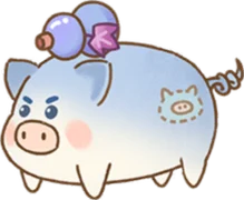 หมูน้ำเต้าหก (ตัวเมีย)