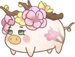 หมูดอกเหมย (ตัวเมีย)
