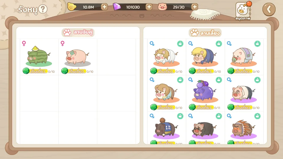 The Pig Nest in the game: matchmaking yard and raising yard